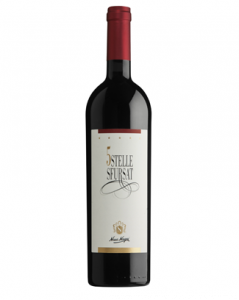 Nino Negri Sfursat 5 Stelle Valtellina superiore 2020 75 cl. 15,5 vol.