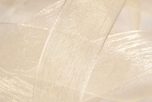 Nastro Organza AVORIO mm 10 x 50 mt.