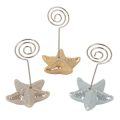 Star Stella Marina Clip Porta Memo Set 6 pz